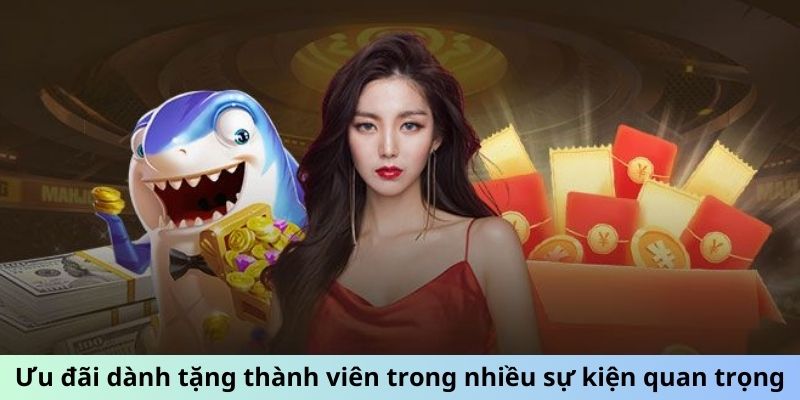 Ưu đãi dành tặng thành viên trong nhiều sự kiện quan trọng