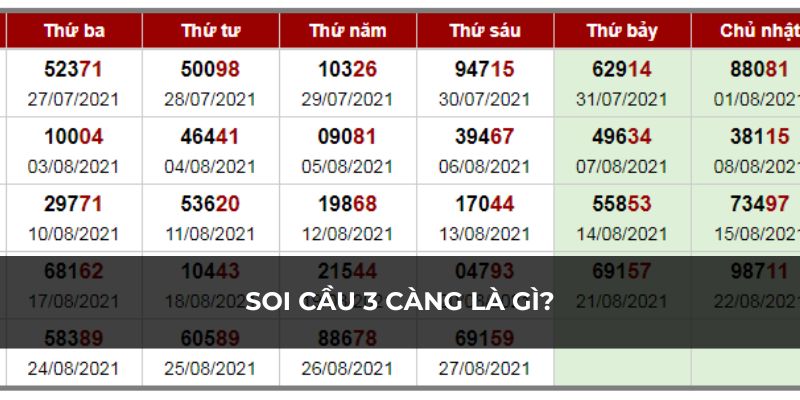 Tìm hiểu về chiến thuật chọn hệ thống cược